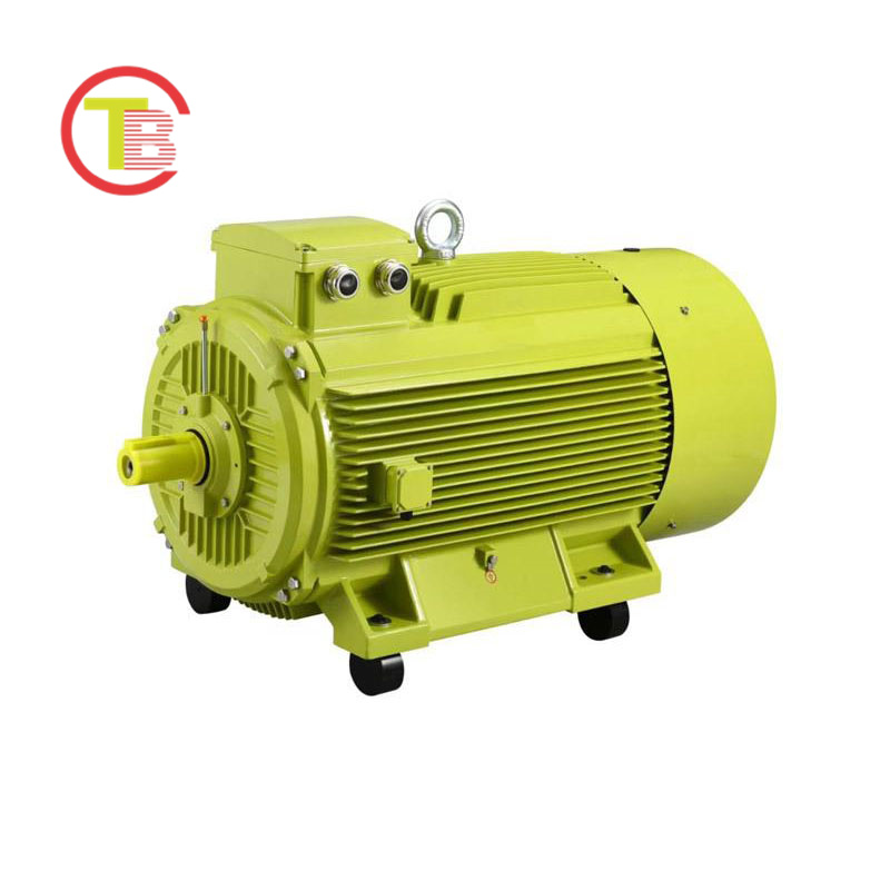 Asynchronous induction motor YE5