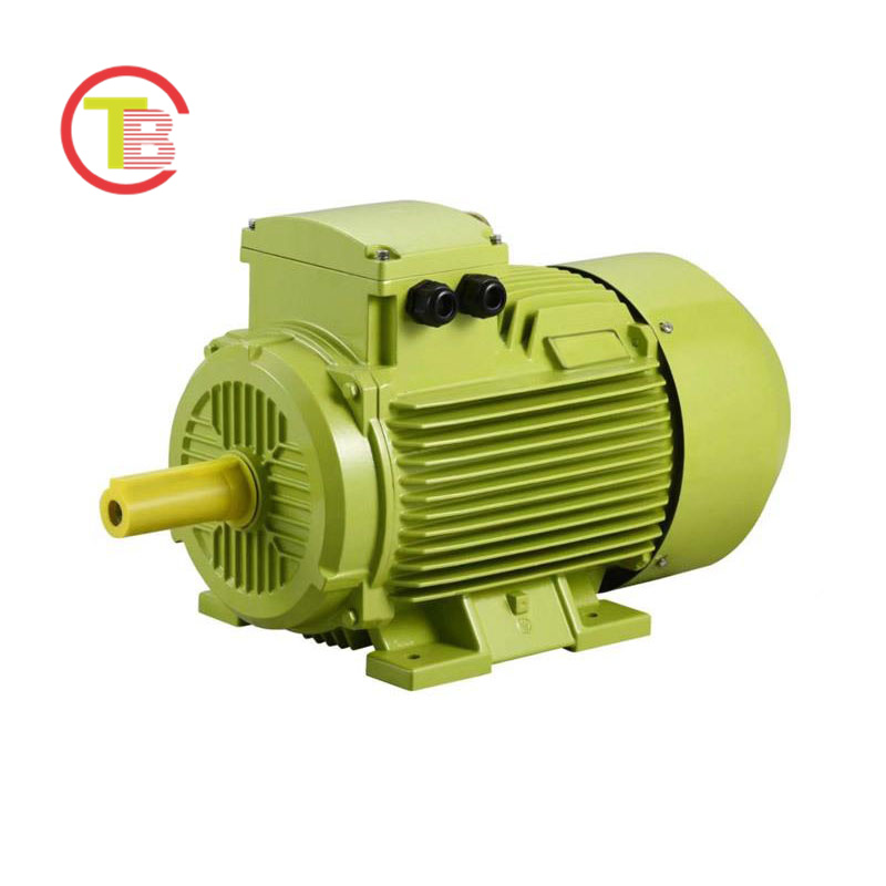 Asynchronous induction motor YE4